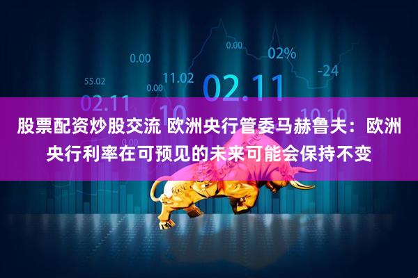 股票配资炒股交流 欧洲央行管委马赫鲁夫：欧洲央行利率在可预见的未来可能会保持不变